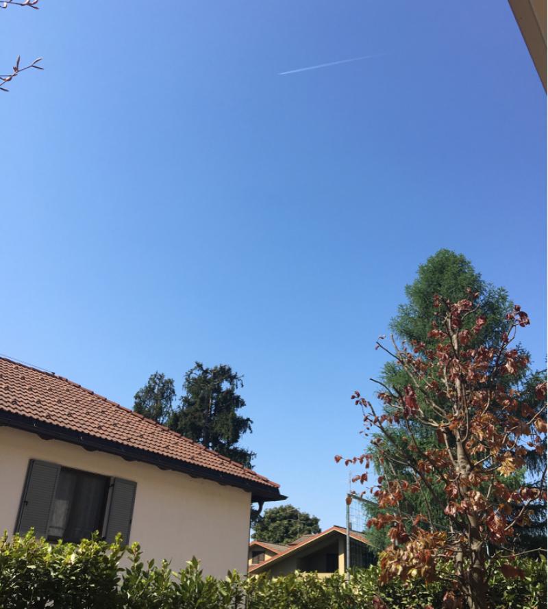 Fotosegnalazione di Cernusco sul naviglio