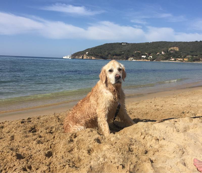 Holly in spiaggia