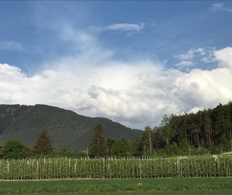 Fotosegnalazione di Naz sciaves