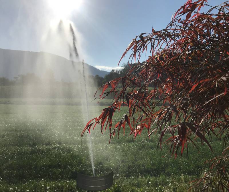 Fotosegnalazione di Naz sciaves