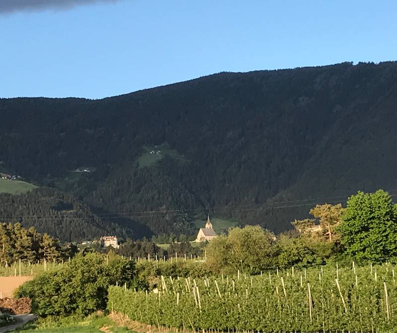 Fotosegnalazione di Naz sciaves