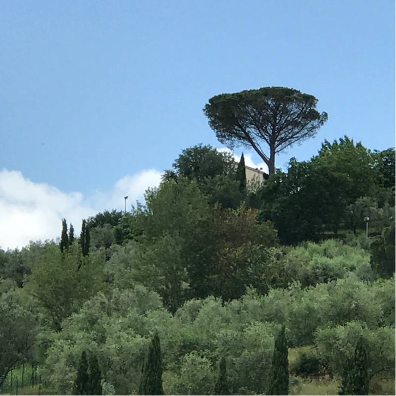 Fotosegnalazione di Poggio a caiano