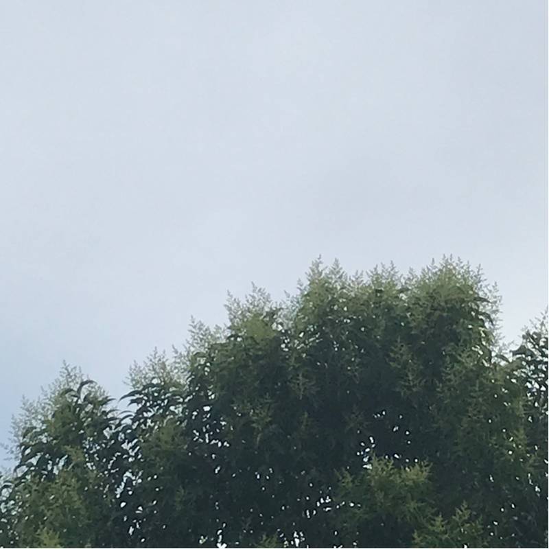 Fotosegnalazione di Gorizia