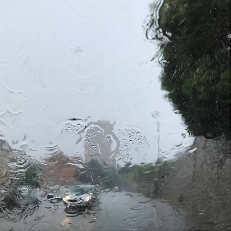 Fotosegnalazione di Genova quarto dei mille