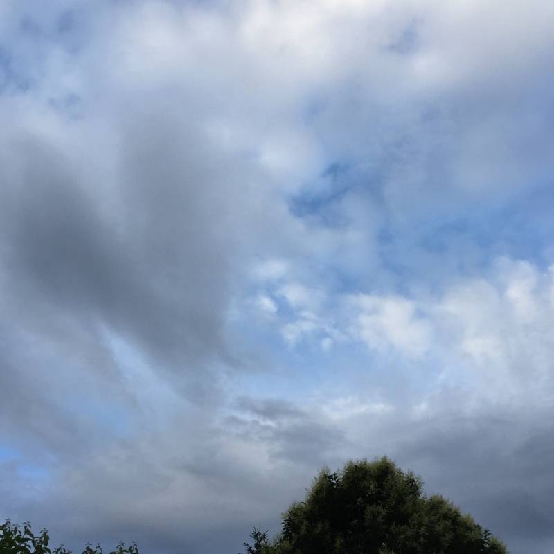 Fotosegnalazione di Gorizia