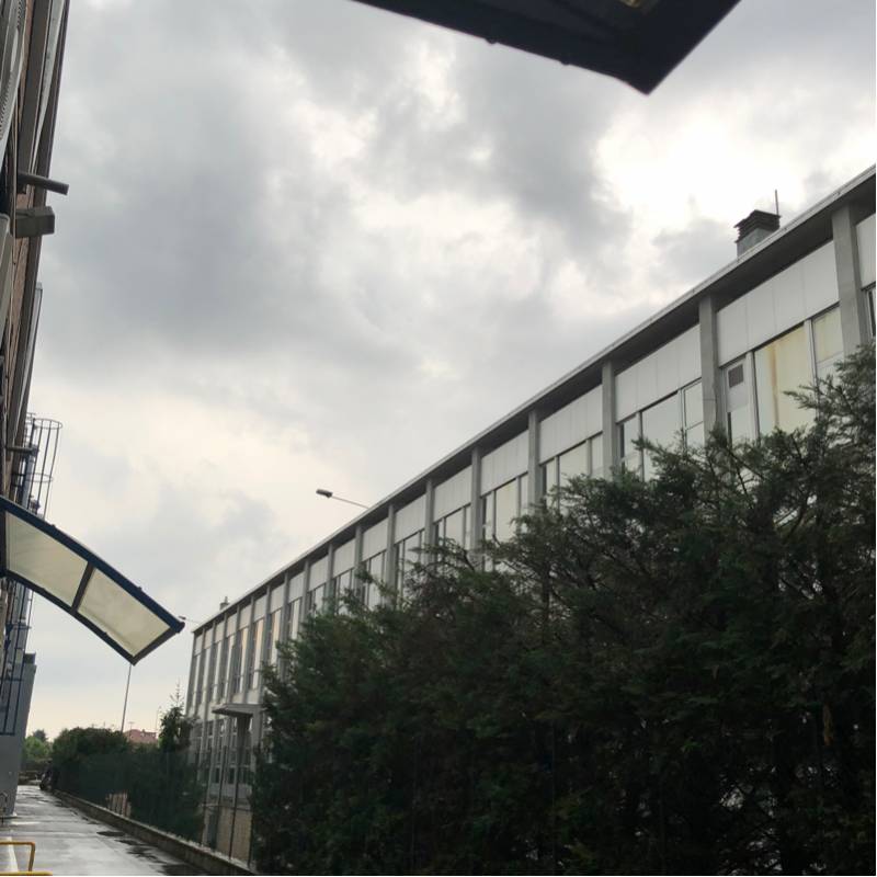 Fotosegnalazione di Rivoli