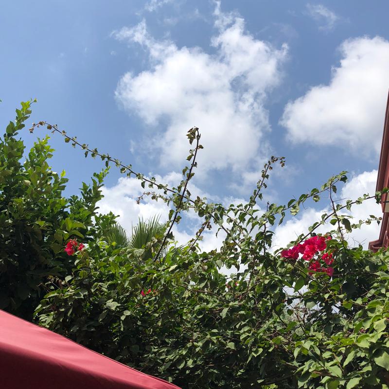 Fotosegnalazione di Giugliano in campania
