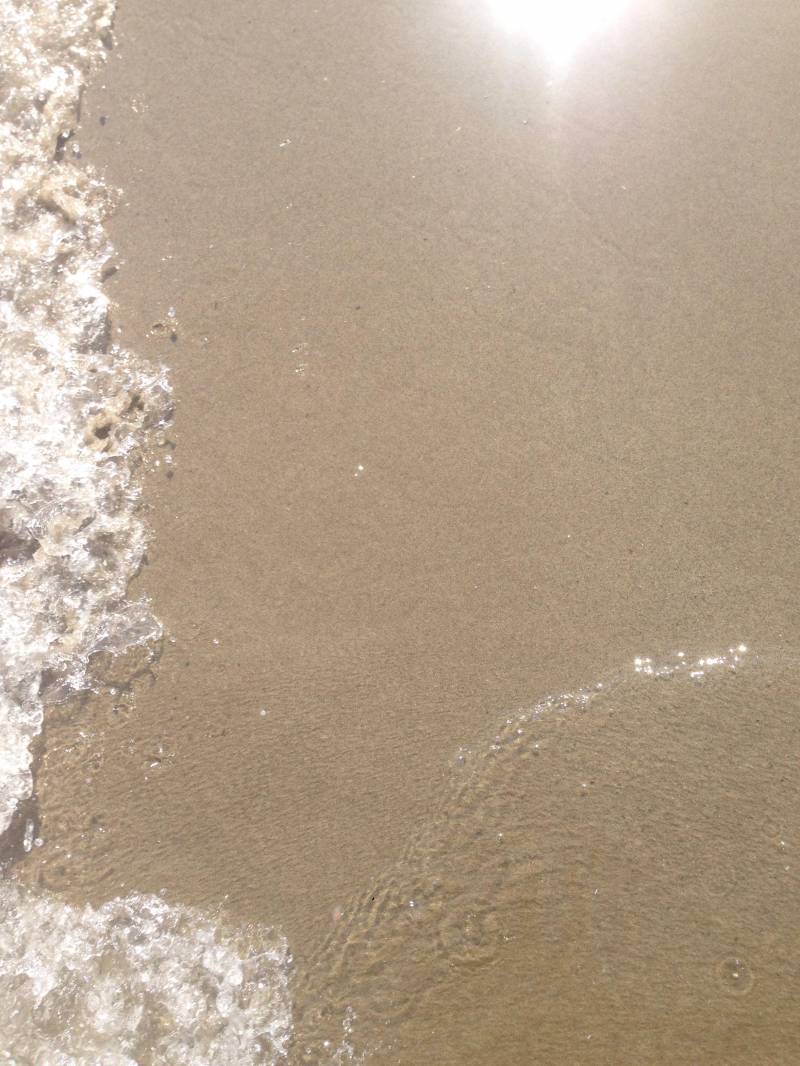 Dorata la spiaggia limpido il mare