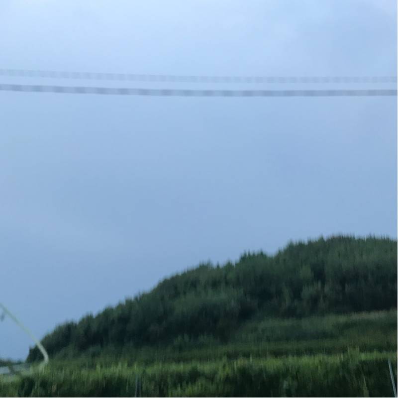 Fotosegnalazione di Gorizia