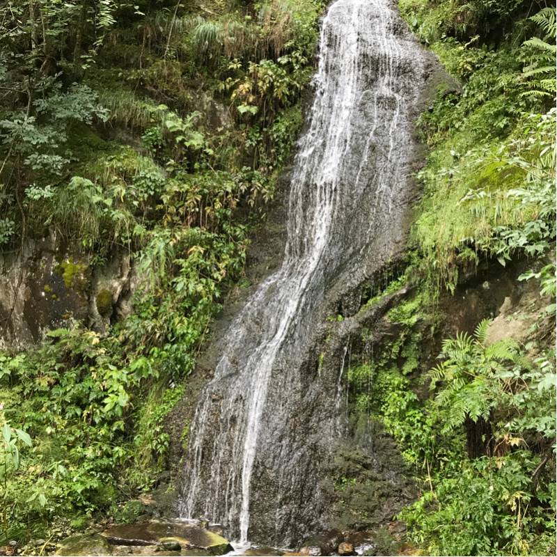 Fotosegnalazione di Naz sciaves