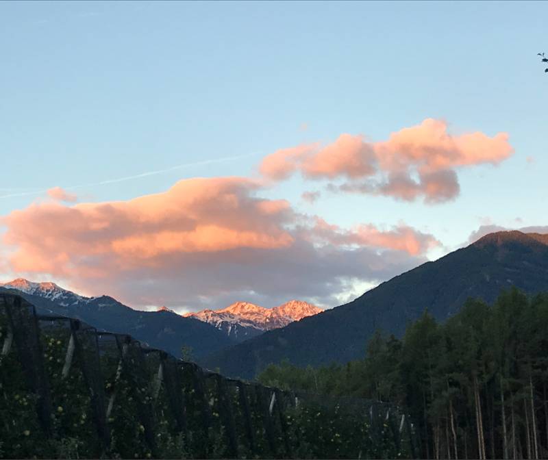 Fotosegnalazione di Naz sciaves