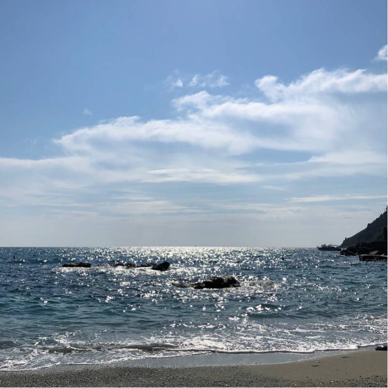 Fotosegnalazione di Monterosso al mare