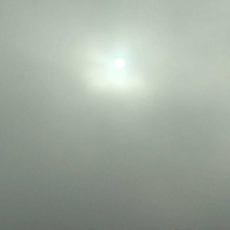 Il sole spunta fra la nebbia