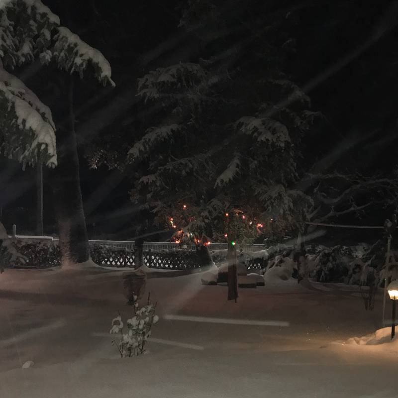 Nevicata in atto 4 gennaio 2019
