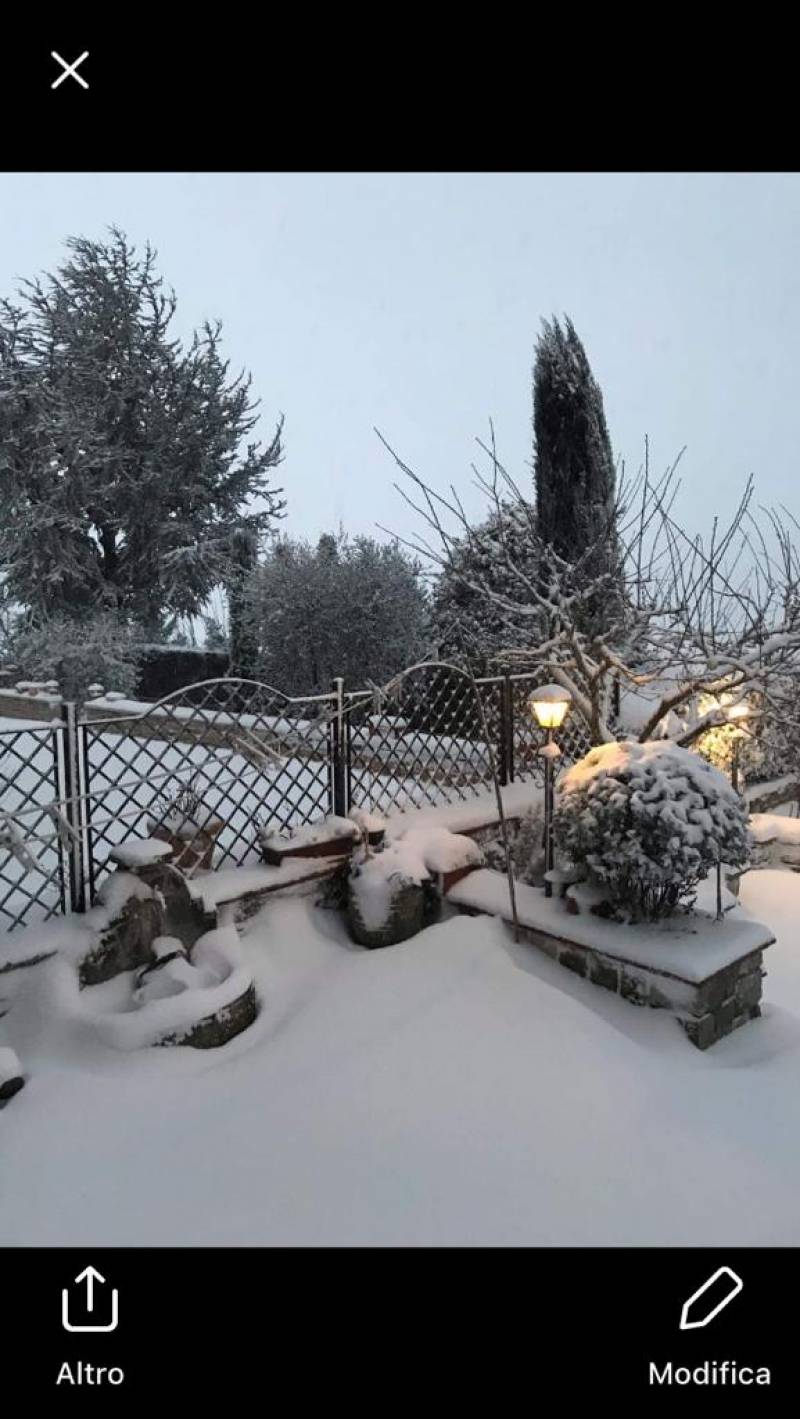 Nevicata 2019 a villanova del battista