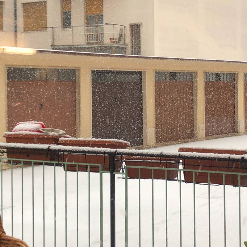 Nevica a Siena