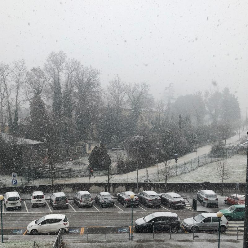 Neve Arezzo 310119