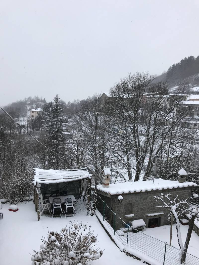 Neve a prunetta 31 gennaio 2019