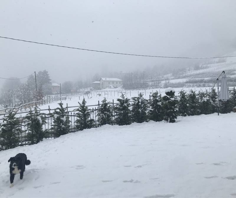Neve continua 15 cm alle 1300 sulle colline di Ovada - quartiere cappellette