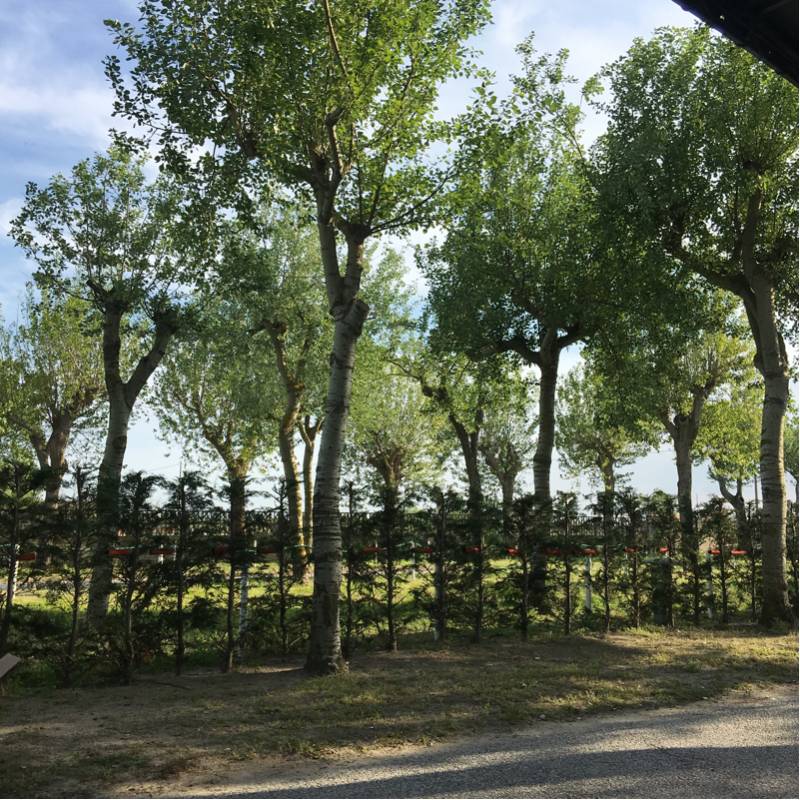 Camping paradiso