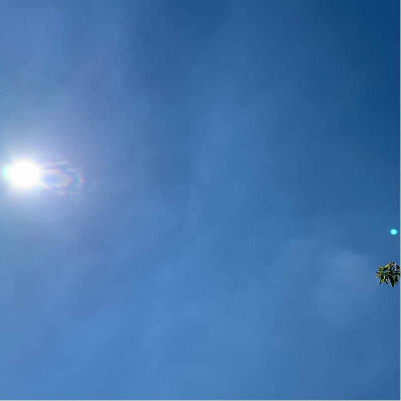 Ci sono 5 gradi in piu'
