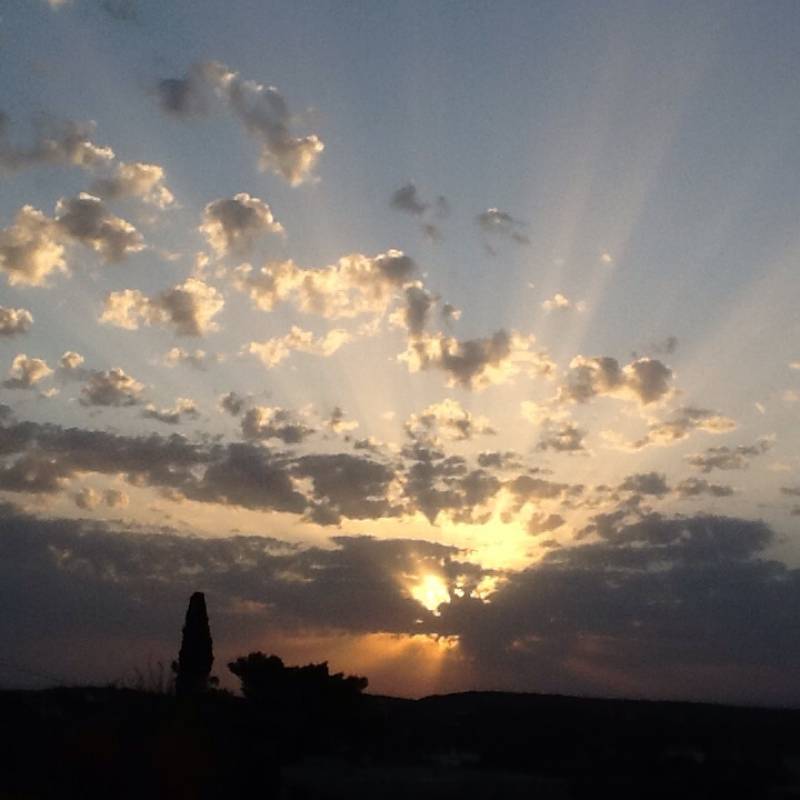 Alba a cisternino contrada madonna d'ibernia