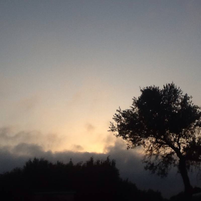 Alba a cisternino c.da madonna d'ibernia