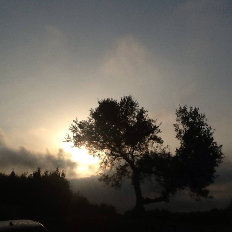 Alba nuvolosa a cisternino c.da madonna d'ibernia