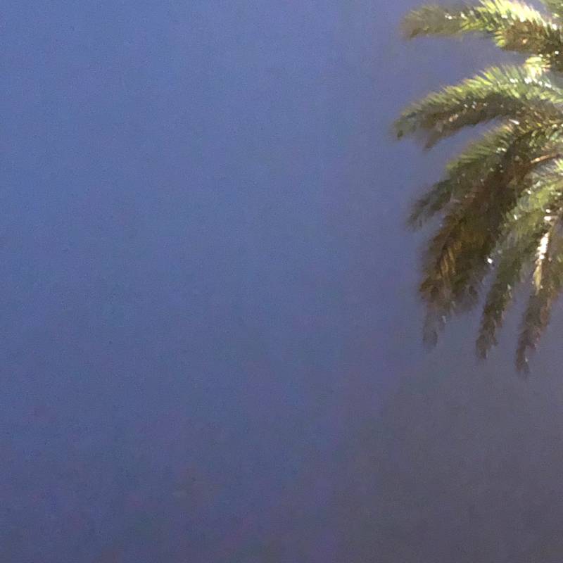 Fotosegnalazione di Barcellona