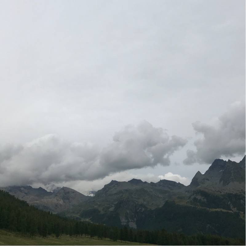 Alpe metsan - Ayas