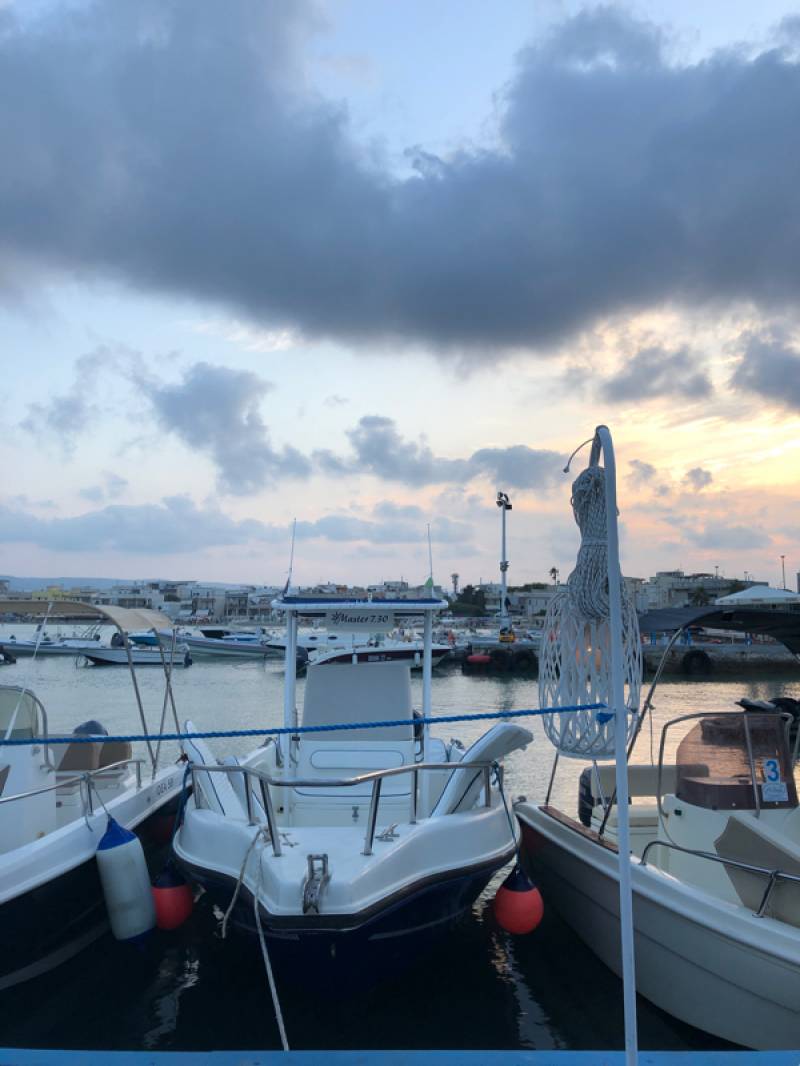 Fotosegnalazione di Torre canne