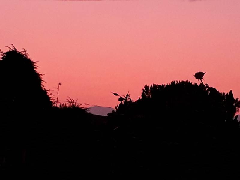 15 settembre - tramonto rosa