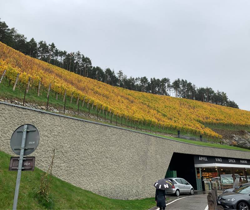 Fotosegnalazione di Naz sciaves