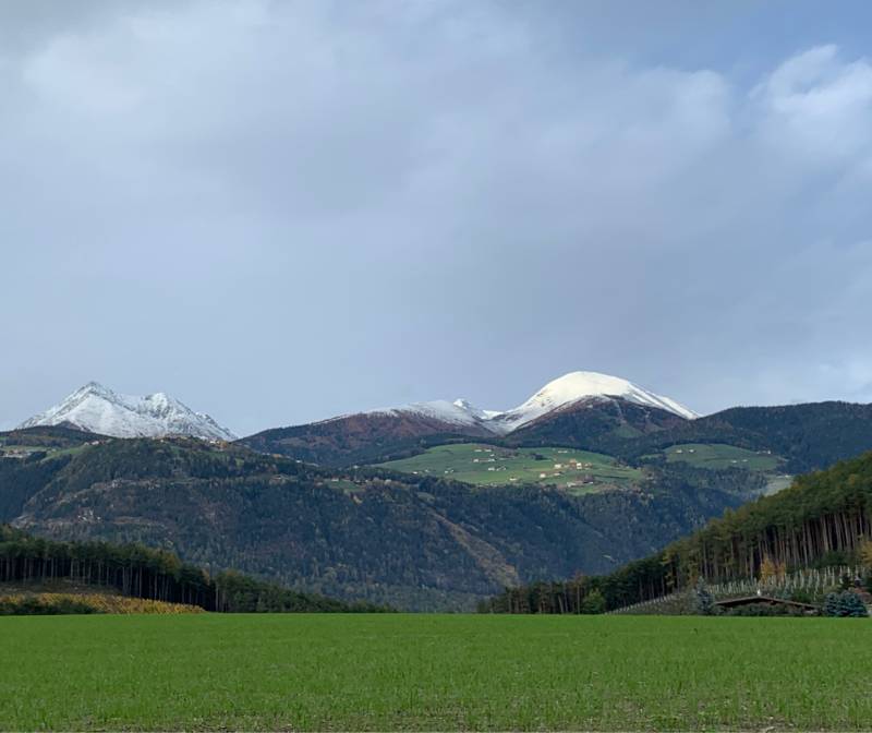 Fotosegnalazione di Naz sciaves