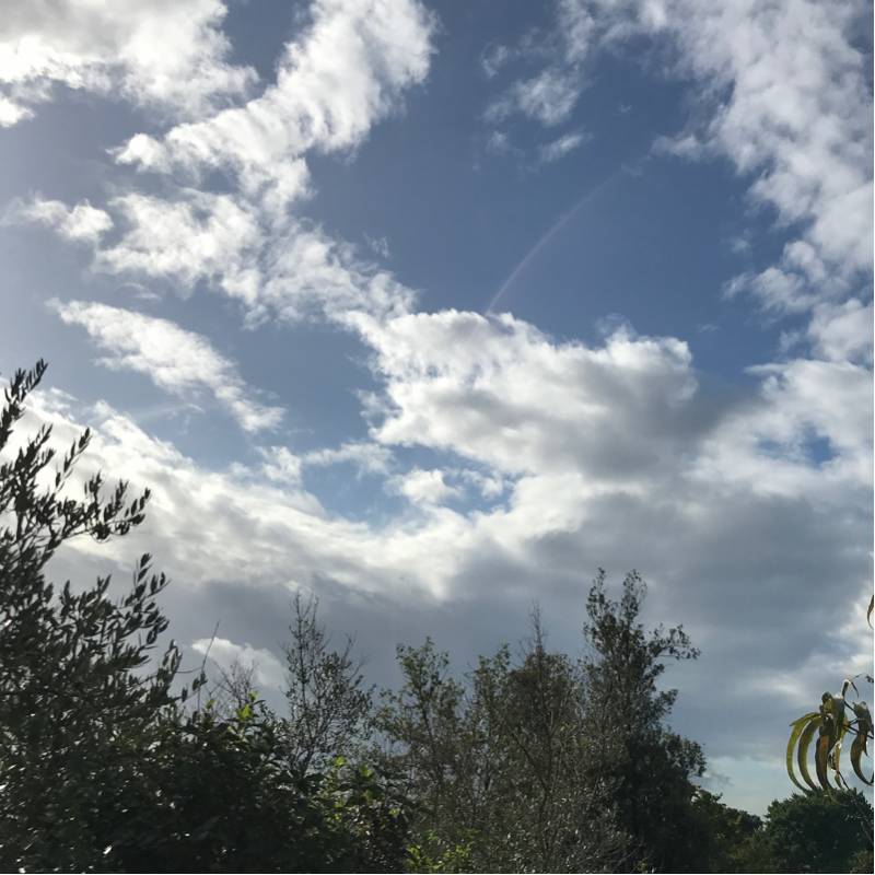 Fotosegnalazione di Campagnano di roma