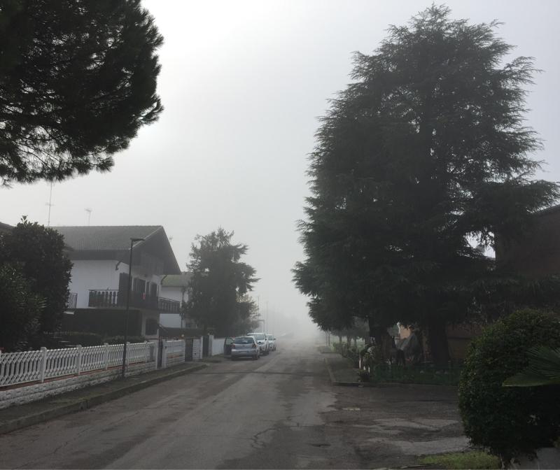 Nebbia a Portomaggiore