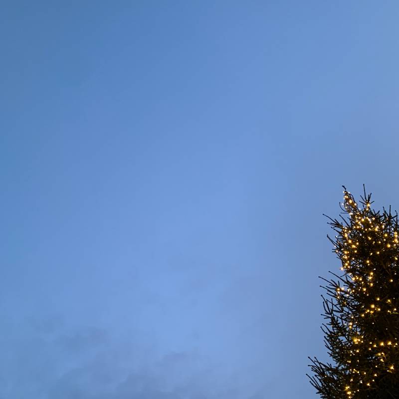 Fotosegnalazione di Castelnuovo del garda