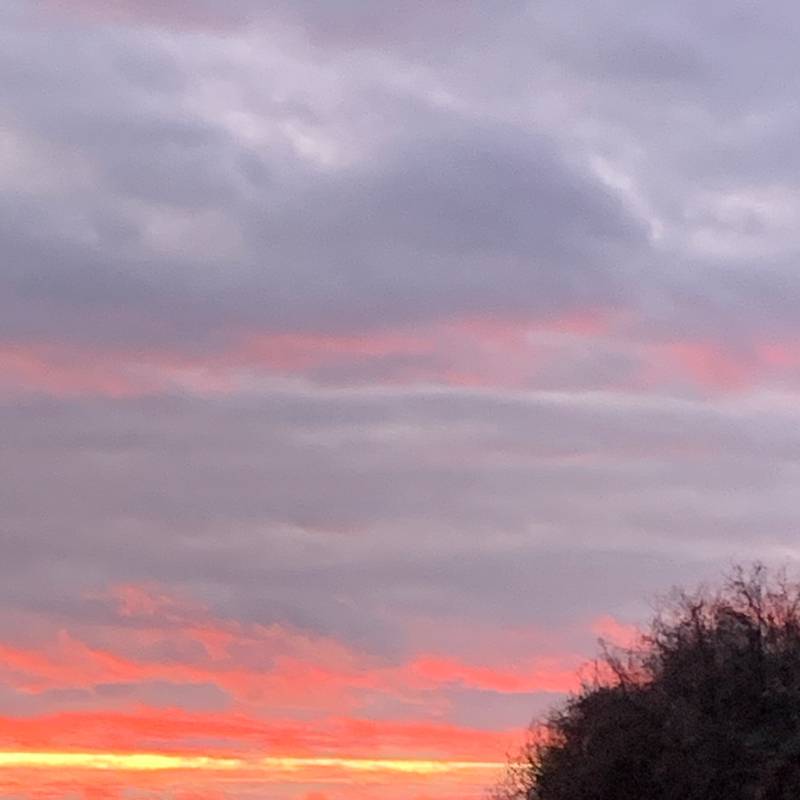 Fotosegnalazione di Gorizia