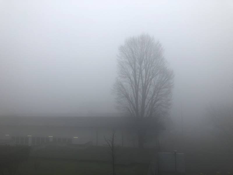 Nebbia di dicembre
