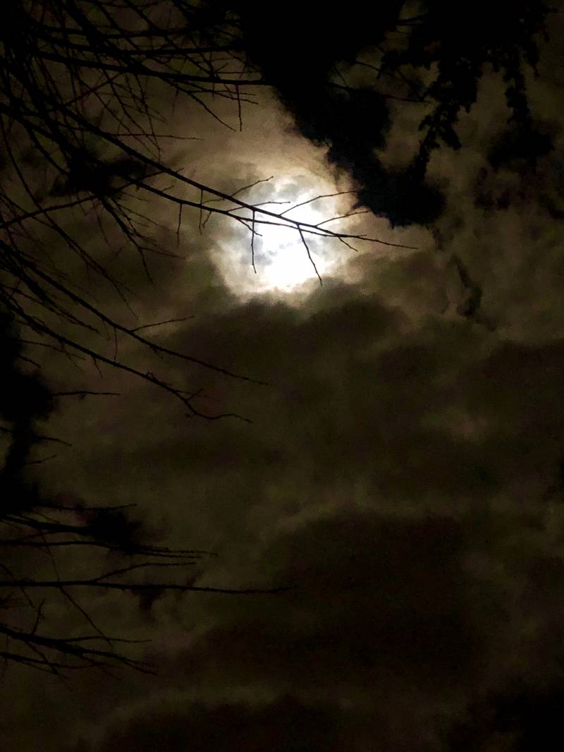 E' la luna busso'....dopo la nebbia