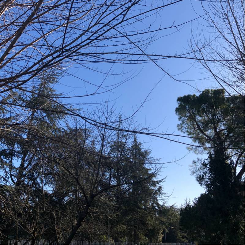 Fotosegnalazione di Camerata picena