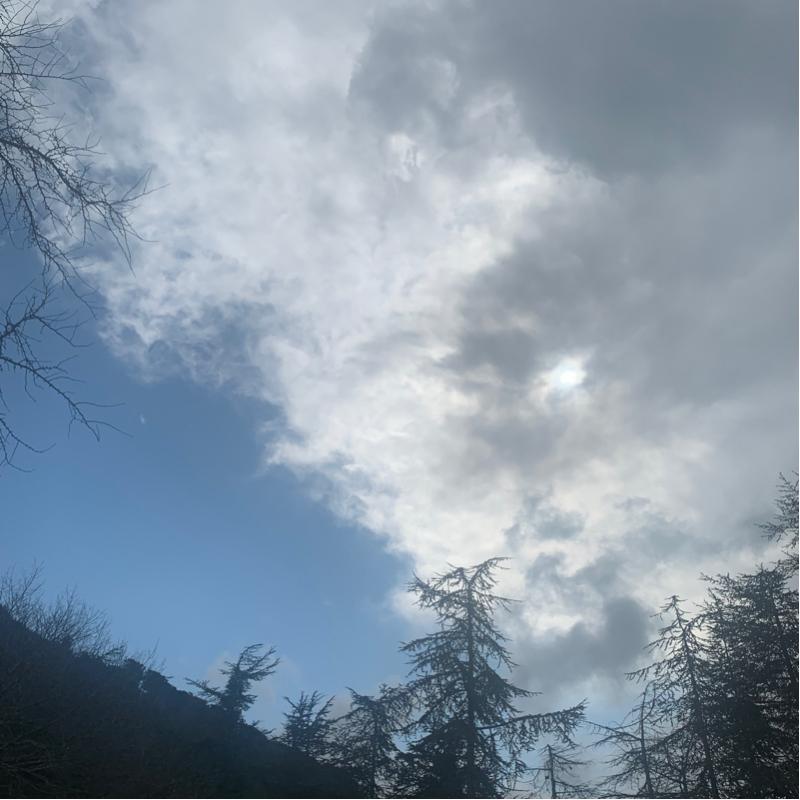 Fotosegnalazione di Genova
