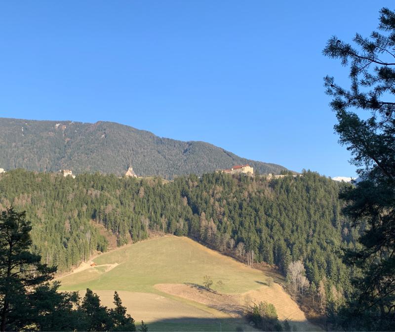 Fotosegnalazione di Naz sciaves