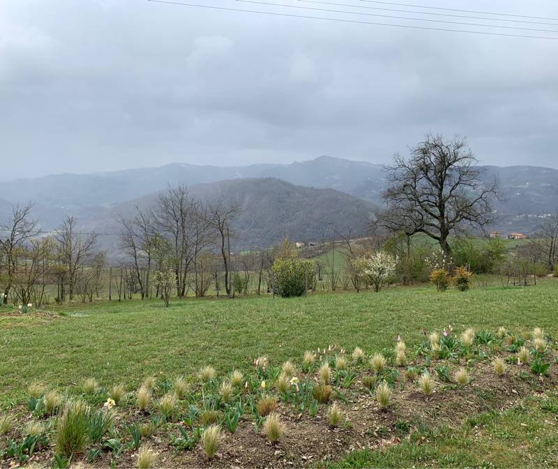 Casa matteazzi freddo e vento verso il cimone