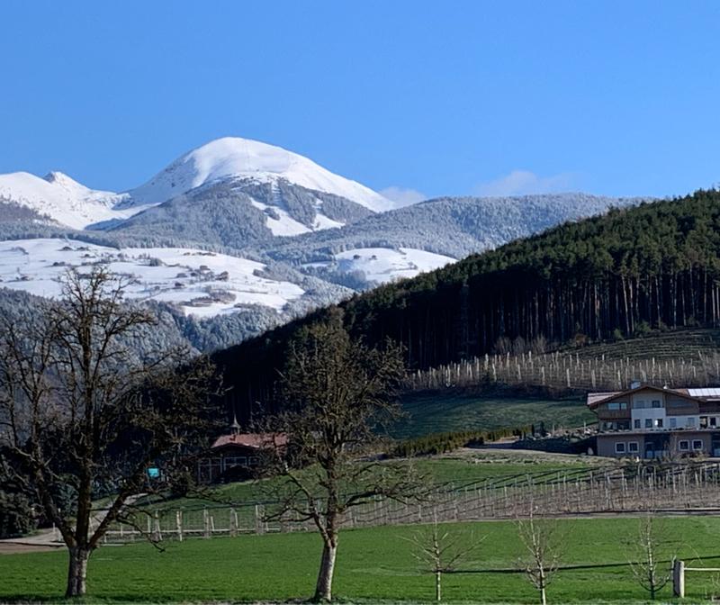 Fotosegnalazione di Naz sciaves