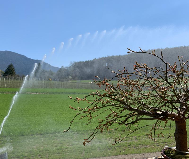 Fotosegnalazione di Naz sciaves