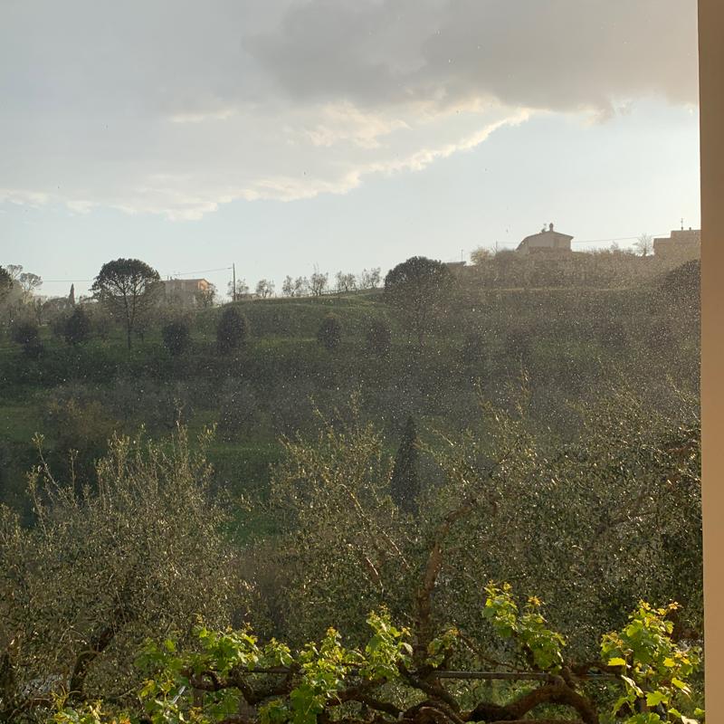 Fotosegnalazione di Carmignano