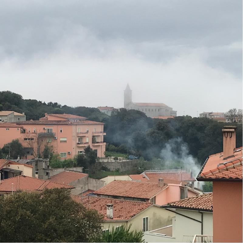 Fotosegnalazione di Tempio pausania