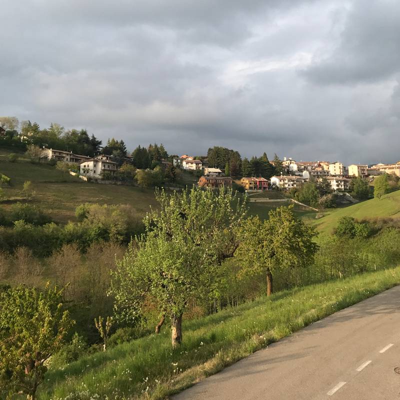 Fotosegnalazione di Cerro veronese