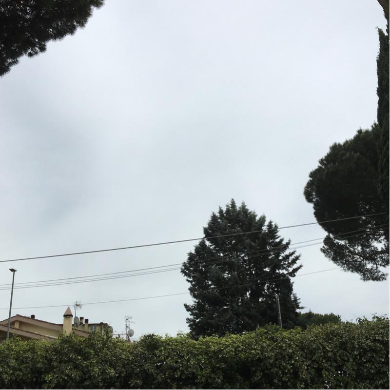 Fotosegnalazione di Roma nordest
